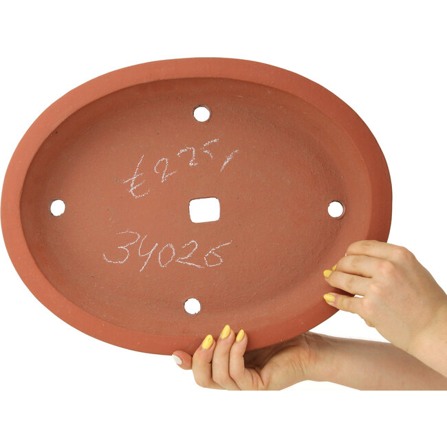 Oval unglazed bonsai pot - 373 x 288 x 60 mm