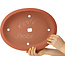Pot à bonsaï ovale non émaillé - 373 x 288 x 60 mm