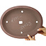 Pot à bonsaï ovale non émaillé - 380 x 290 x 60 mm