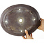 Pot à bonsaï ovale non émaillé - 340 x 270 x 90 mm
