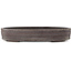 Pot à bonsaï ovale non émaillé de Keizan - 410 x 282 x 68 mm