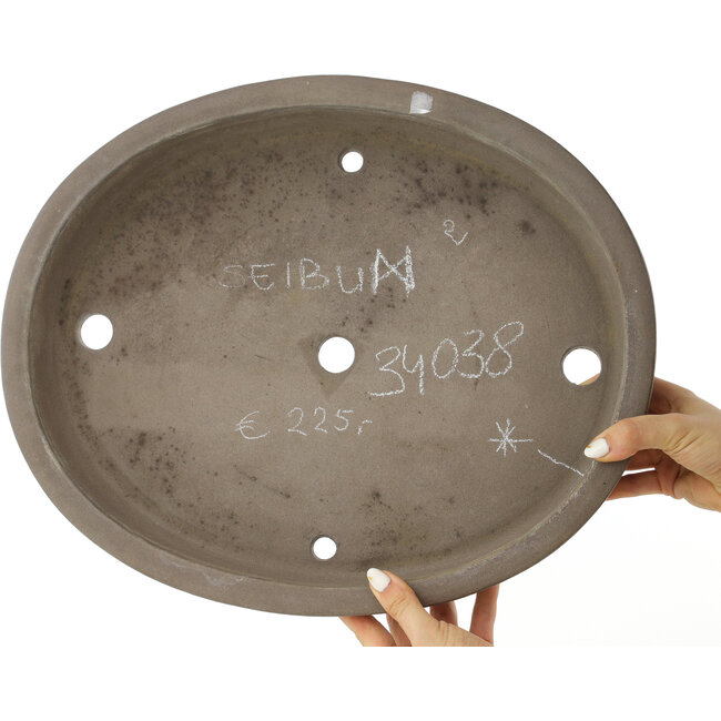 Ovale ongeglazuurde bonsaipot van Seibun - 435 x 355 x 63 mm