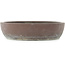 Ovale ongeglazuurde bonsai pot van Yamaaki - 403 x 340 x 83 mm
