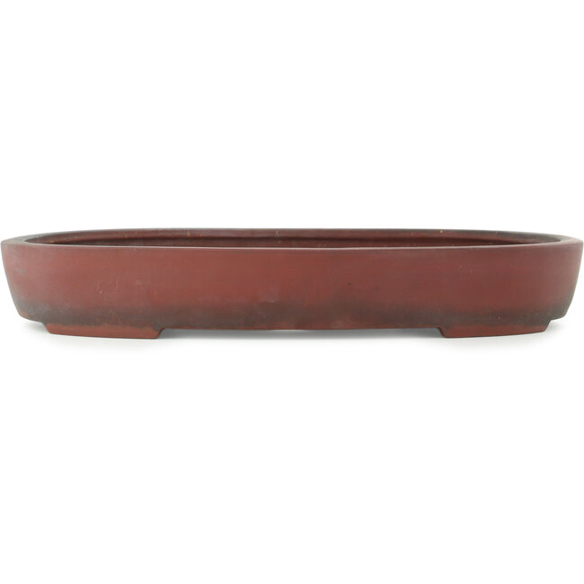 Pot à bonsaï ovale non émaillé - 405 x 290 x 57 mm