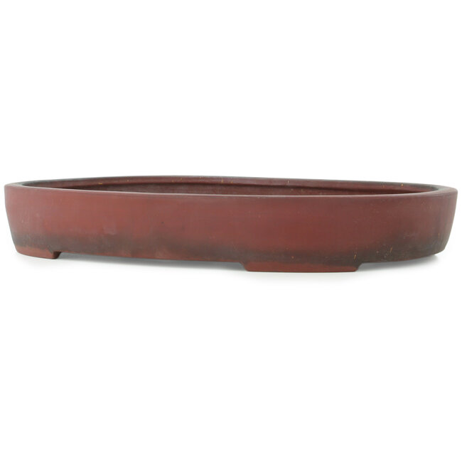 Oval unglazed bonsai pot - 405 x 290 x 57 mm