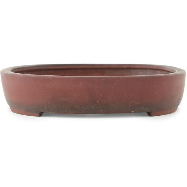 Pot à bonsaï ovale non émaillé - 405 x 290 x 57 mm