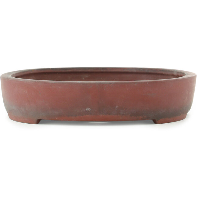 Vaso bonsai ovale non smaltato - 405 x 290 x 57 mm