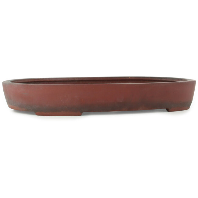 Maceta para bonsái ovalada sin esmaltar - 405 x 290 x 57 mm
