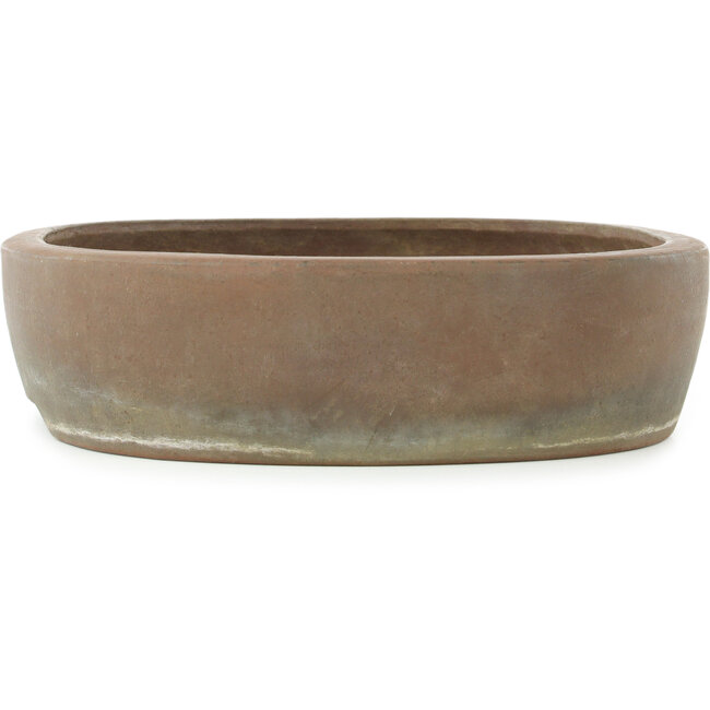 Vaso bonsai ovale non smaltato - 427 x 333 x 85 mm