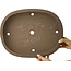 Pot à bonsaï ovale non émaillé - 427 x 333 x 85 mm