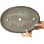 Ovale ongeglazuurde bonsai pot van Yamaaki - 350 x 240 x 45 mm