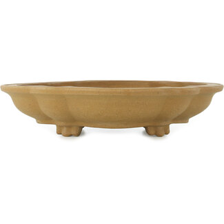  Zenigo (Matsushita Masuo) Vaso bonsai mokko non smaltato da 390 mm di Izumiya (Zenigo), Giappone