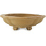 Pot à bonsaï non émaillé Mokko par Izumiya (Zenigo) - 390 x 298 x 88 mm