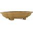 Pot à bonsaï non émaillé Mokko par Izumiya (Zenigo) - 390 x 298 x 88 mm