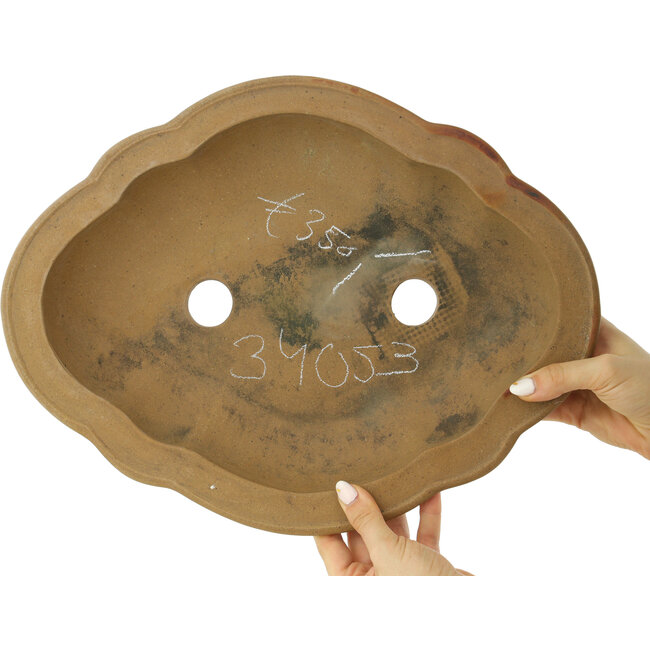 Pot à bonsaï non émaillé Mokko par Izumiya (Zenigo) - 390 x 298 x 88 mm