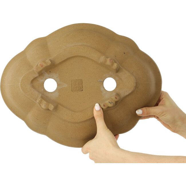 Maceta para bonsái sin esmaltar Mokko de Izumiya (Zenigo) - 390 x 298 x 88 mm