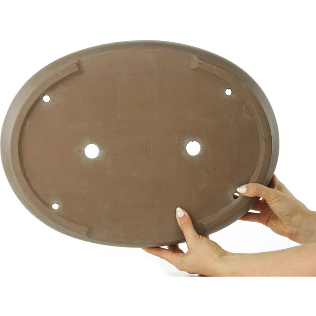 Maceta para bonsái ovalada sin esmaltar de Mazan - 455 x 340 x 55 mm