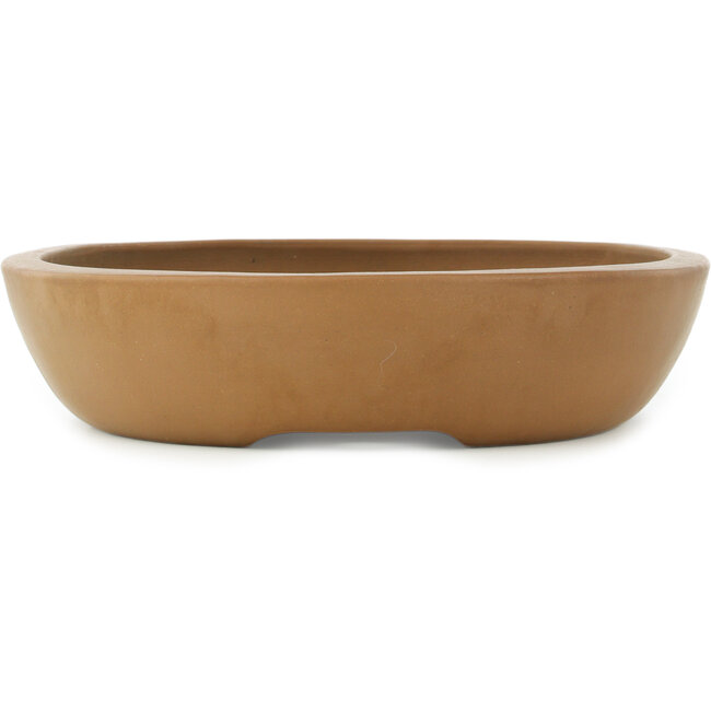 Vaso bonsai ovale non smaltato di Shoko - 480 x 385 x 88 mm