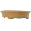 Pot à bonsaï ovale non émaillé de Shoko - 485 x 385 x 108 mm