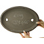 Pot à bonsaï ovale non émaillé - 400 x 275 x 50 mm