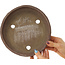 Ronde ongeglazuurde bonsaipot van Ryugaku - 225 x 225 x 57 mm