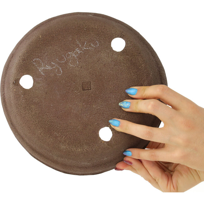 Maceta redonda para bonsái sin esmaltar de Ryugaku - 225 x 225 x 57 mm