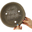 Ronde ongeglazuurde bonsaipot - 235 x 235 x 55 mm