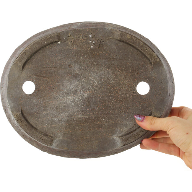 Oval unglazed bonsai pot - 260 x 205 x 45 mm