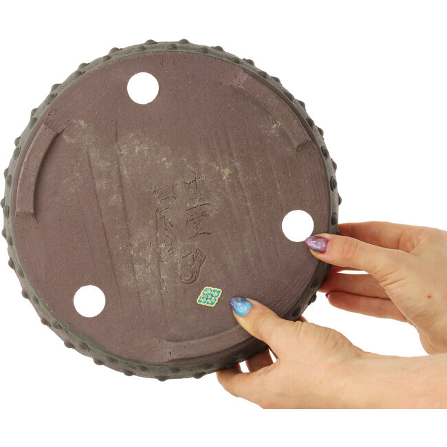 Ronde ongeglazuurde bonsaipot van Yamaaki Koshosen (eerste generatie) - 235 x 235 x 50 mm