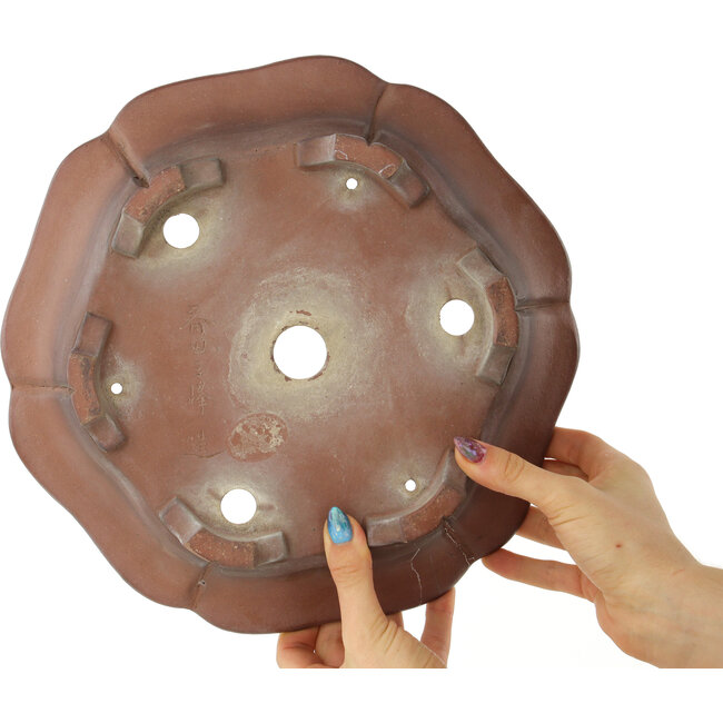 Maceta para bonsái sin esmaltar con forma de loto de Sanpo - 295 x 295 x 80 mm