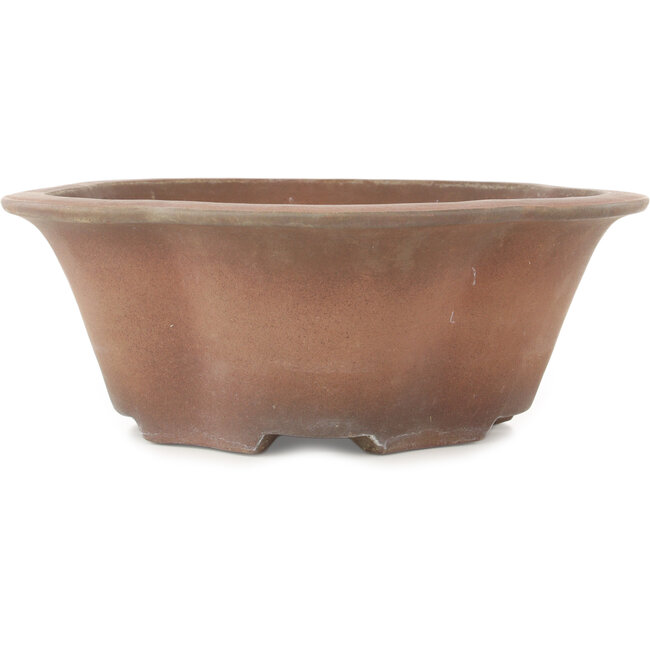 Vaso bonsai rotondo a forma di fiore non smaltato di Izumiya (Zenigo) - 330 x 330 x 120 mm
