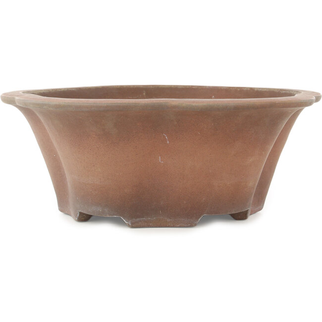 Vaso bonsai rotondo a forma di fiore non smaltato di Izumiya (Zenigo) - 330 x 330 x 120 mm