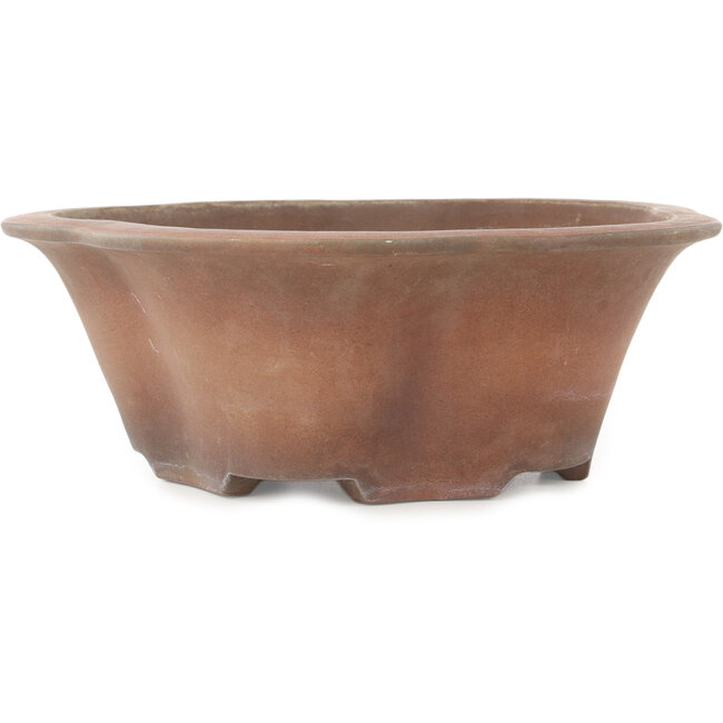 Ronde, bloemvormige, ongeglazuurde bonsaipot van Izumiya (Zenigo) - 330 x 330 x 120 mm