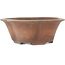 Runder, unglasierter Bonsai-Topf in Blumenform von Izumiya (Zenigo) - 330 x 330 x 120 mm