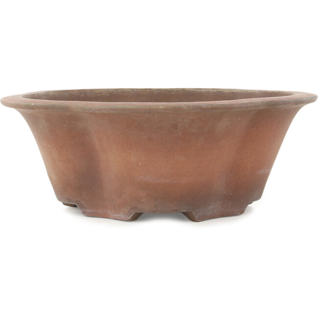 Maceta para bonsái redonda sin esmaltar con forma de flor de Izumiya (Zenigo) - 330 x 330 x 120 mm