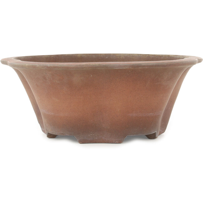 Vaso bonsai rotondo a forma di fiore non smaltato di Izumiya (Zenigo) - 330 x 330 x 120 mm