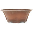 Runder, unglasierter Bonsai-Topf in Blumenform von Izumiya (Zenigo) - 330 x 330 x 120 mm
