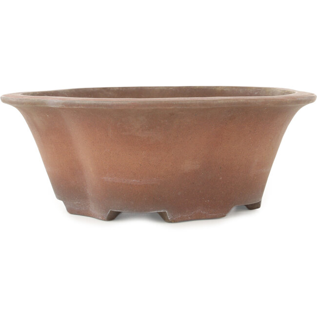 Runder, unglasierter Bonsai-Topf in Blumenform von Izumiya (Zenigo) - 330 x 330 x 120 mm