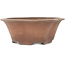 Runder, unglasierter Bonsai-Topf in Blumenform von Izumiya (Zenigo) - 330 x 330 x 120 mm