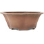 Runder, unglasierter Bonsai-Topf in Blumenform von Izumiya (Zenigo) - 330 x 330 x 120 mm