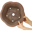 Pot à bonsaï rond en forme de fleur non émaillé par Izumiya (Zenigo) - 330 x 330 x 120 mm