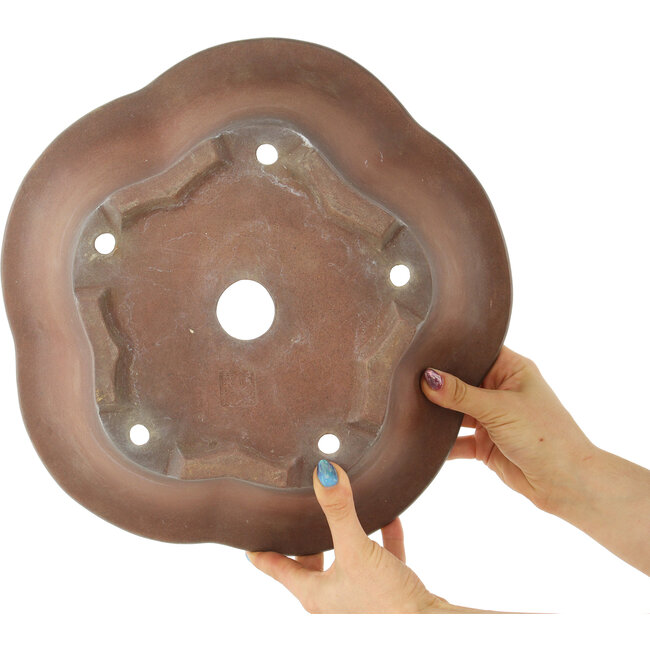 Pot à bonsaï rond en forme de fleur non émaillé par Izumiya (Zenigo) - 330 x 330 x 120 mm