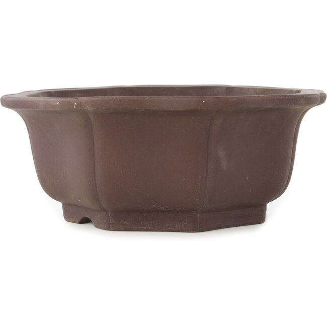 Runder, unglasierter Bonsai-Topf in Blumenform von Yamaaki - 355 x 355 x 137 mm