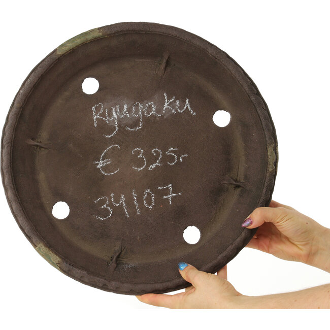 Maceta redonda para bonsái sin esmaltar de Ryugaku - 378 x 378 x 55 mm