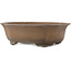 Pot à bonsaï Mokko non émaillé par Mazan - 460 x 390 x 145 mm