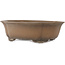 Pot à bonsaï Mokko non émaillé par Mazan - 460 x 390 x 145 mm