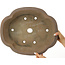 Pot à bonsaï Mokko non émaillé par Mazan - 460 x 390 x 145 mm