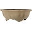 Pot à bonsaï non émaillé Mokko de Yamaaki - 440 x 368 x 168 mm
