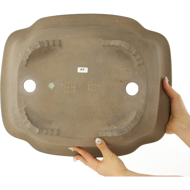 Maceta para bonsái sin esmaltar Mokko de Yamaaki - 440 x 368 x 168 mm