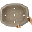 Pot à bonsaï non émaillé Mokko de Keizan - 453 x 365 x 140 mm